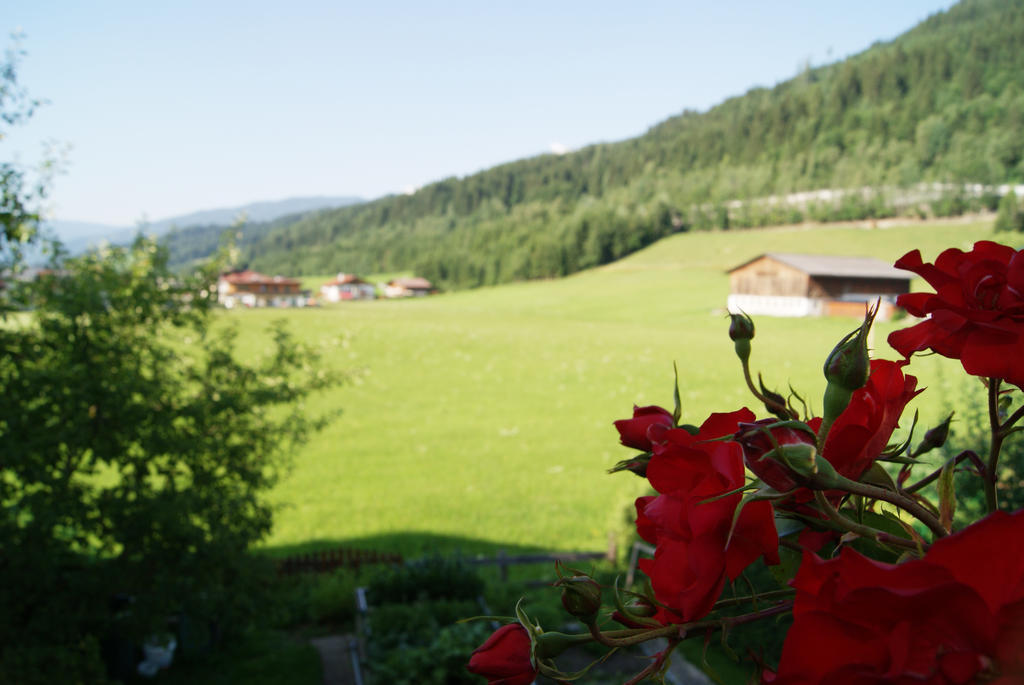 Hartsleben